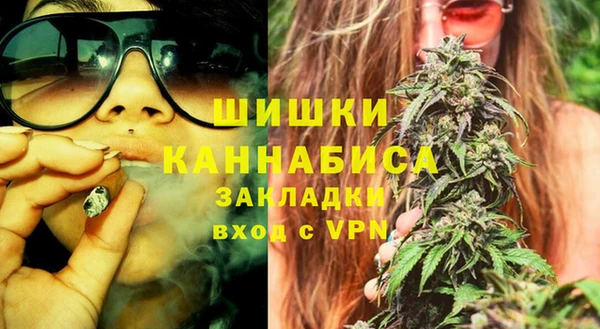 молекула духа Нязепетровск