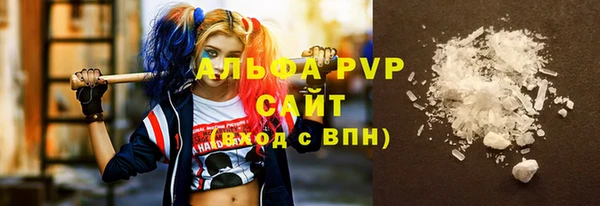 стафф Алзамай