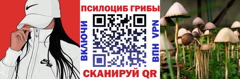 гидра рабочий сайт  купить   Шацк  Псилоцибиновые грибы Magic Shrooms 